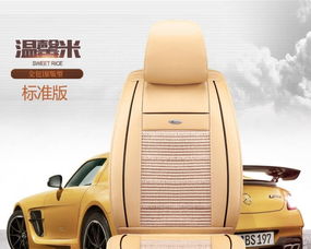 圖 廠家直銷汽車坐墊,腳墊,行車記錄儀,招代理一件代發 廣州汽車美容