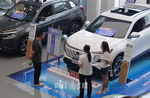 內江 汽車 金九 銷售旺